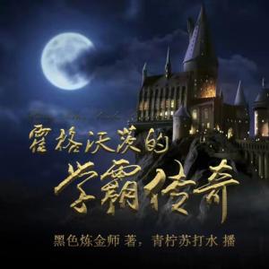霍格沃茨的學霸傳奇