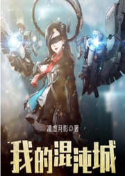我的混沌城 /虛擬網游