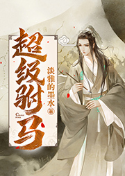 超級駙馬