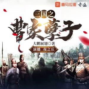 三國之曹家孽子