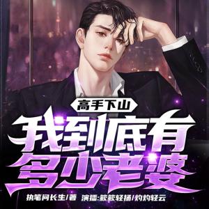高手下山：我的老婆有點多
