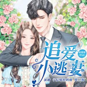 追愛小逃妻