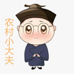 農村小大夫