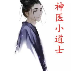 神醫小道士