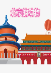 北京的動物