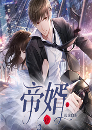 帝婿