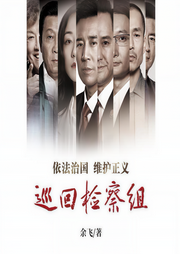 巡回檢察組