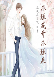 木槿花開木槿來